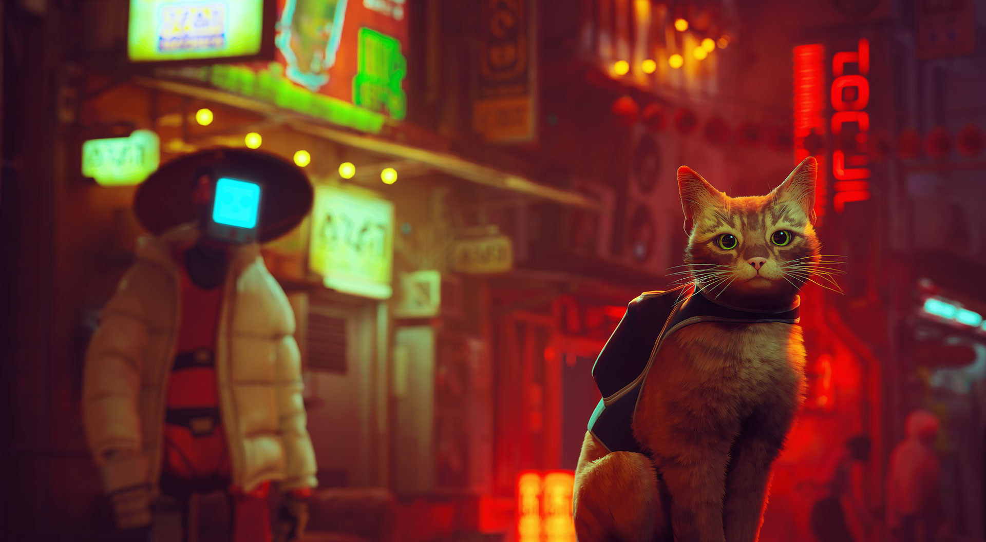 Cyberpunk cat game фото 112